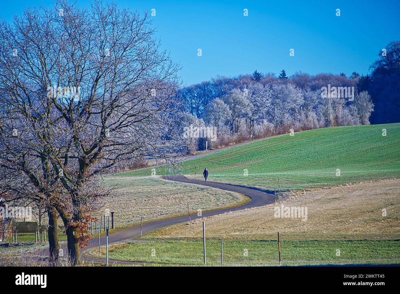 Friedliche Landschaft in der Nähe der Alpen mit Hügeln, Wäldern und Feldern Stockfoto
