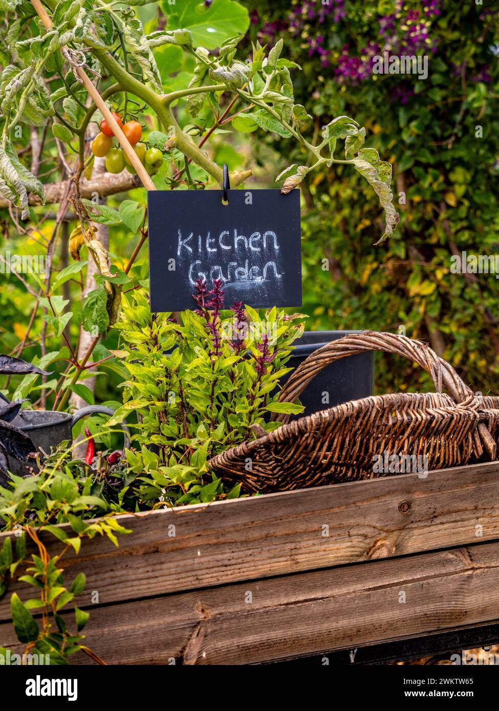 Pflanzen-Display mit einer kleinen Tafel mit den Worten Küchengarten. Stockfoto