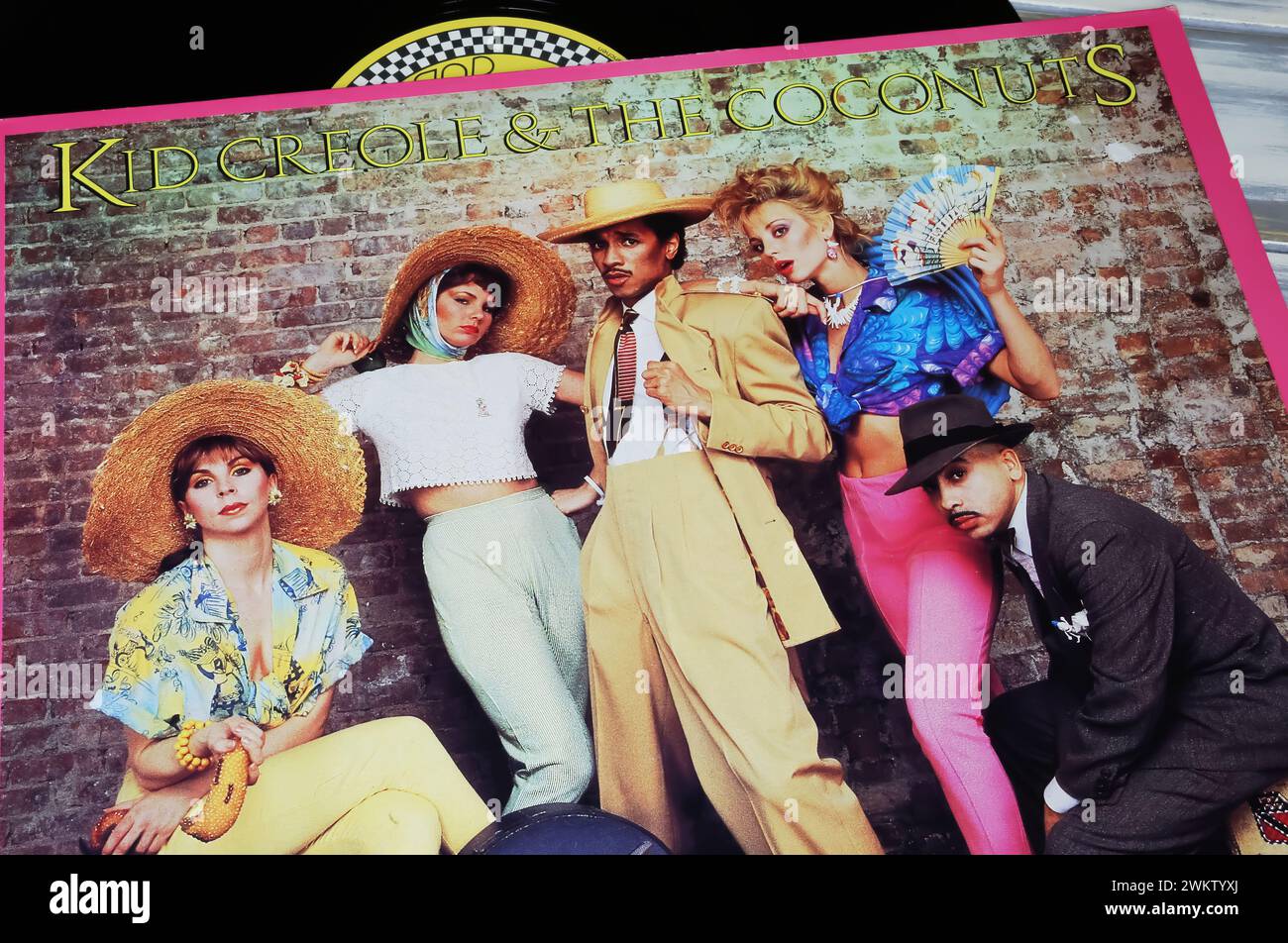 Viersen, Deutschland - 9. Januar. 2024: Closeup von Kid Creole and the Coconuts Vinyl-Hit-Album-Cover Tropical Gangsters aus dem Jahr 1982 Stockfoto