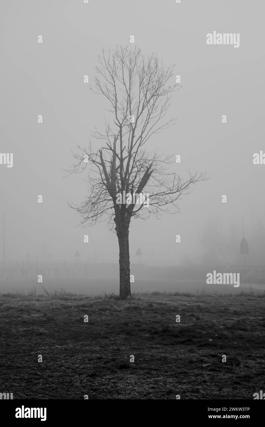 Schwarzweißbild dominiert von Nebel Stockfoto