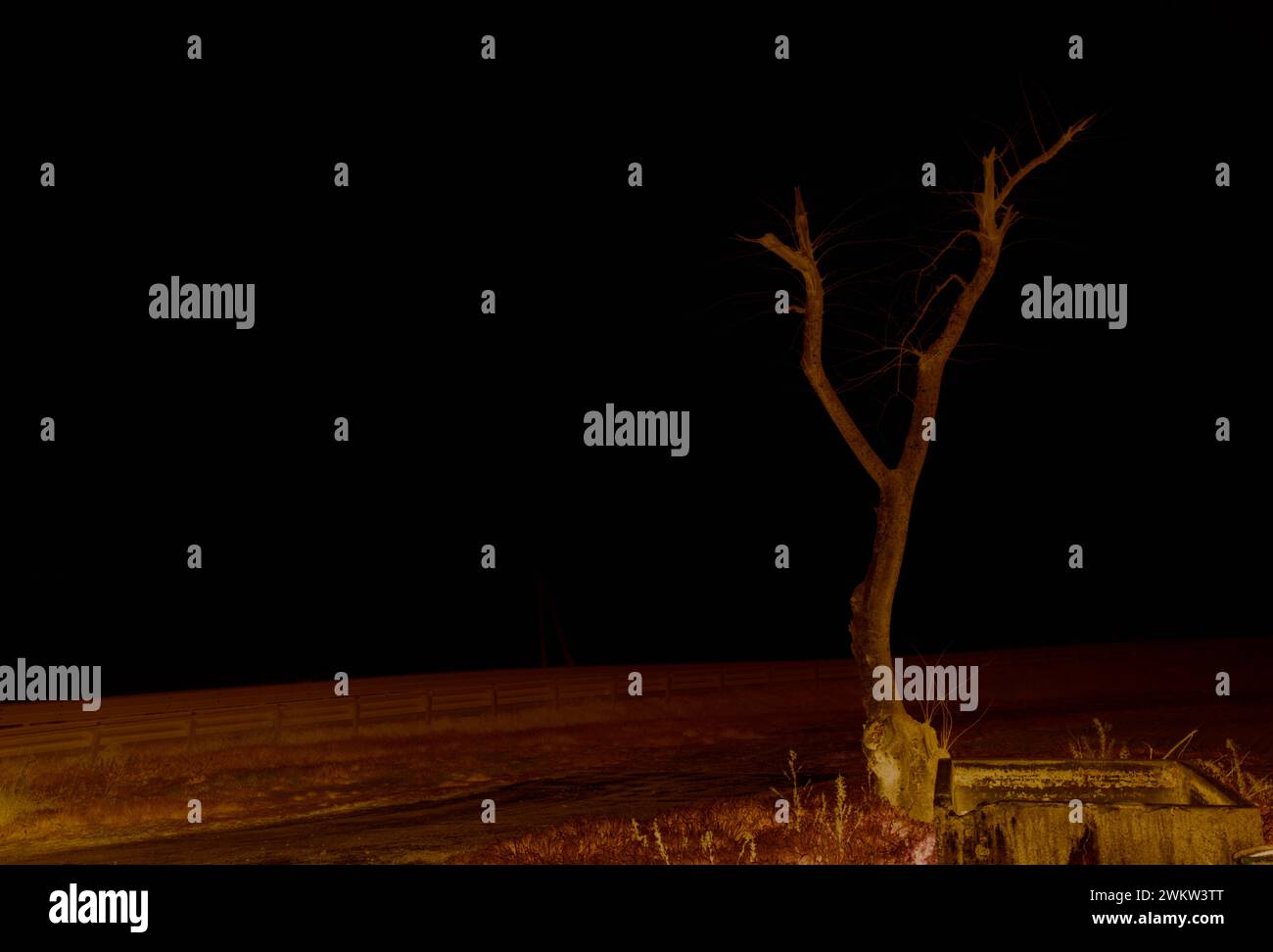 Schwarzweißbild dominiert von Nebel Stockfoto