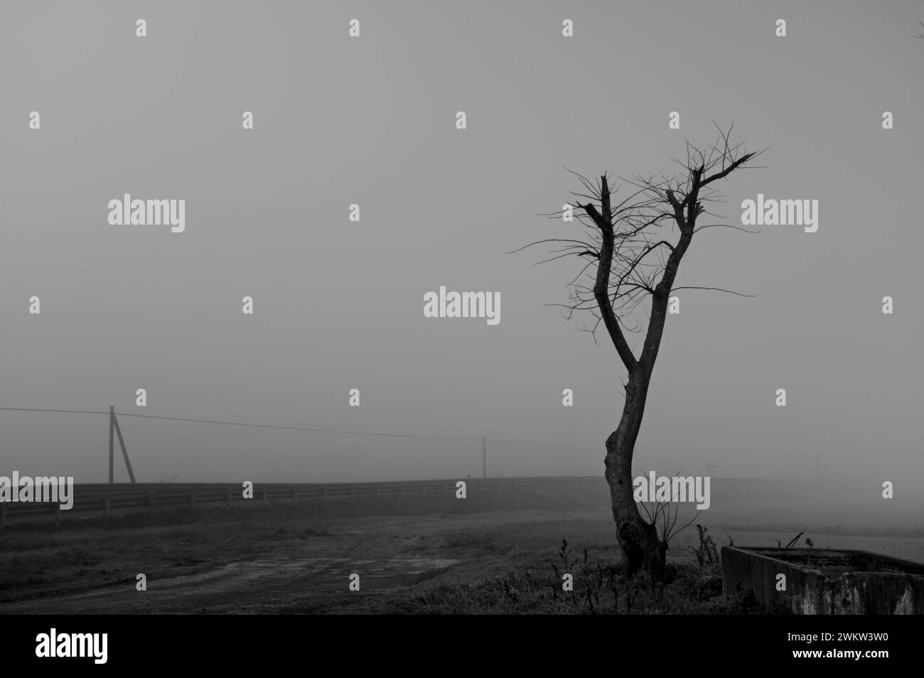 Schwarzweißbild dominiert von Nebel Stockfoto