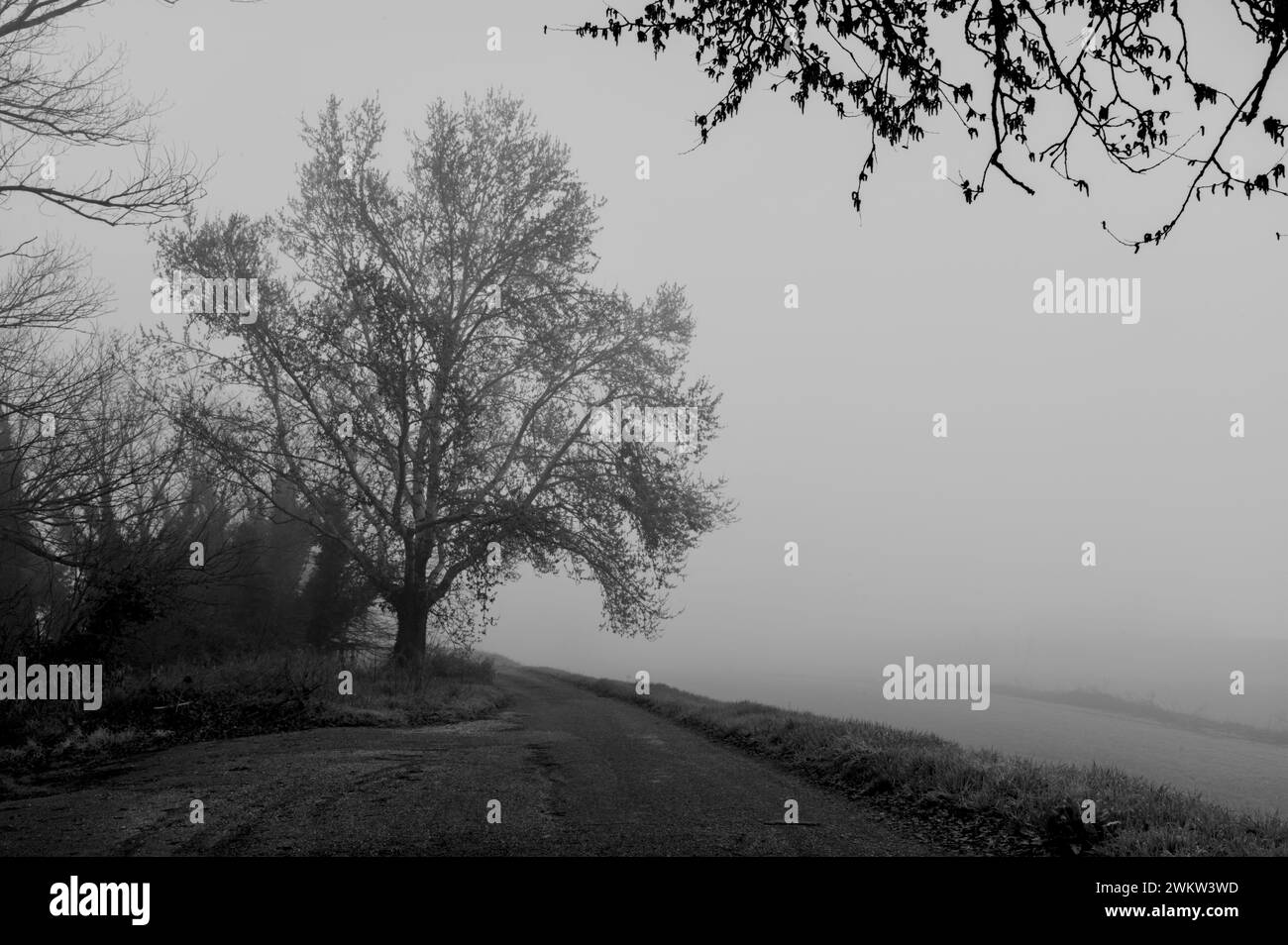 Schwarzweißbild dominiert von Nebel Stockfoto