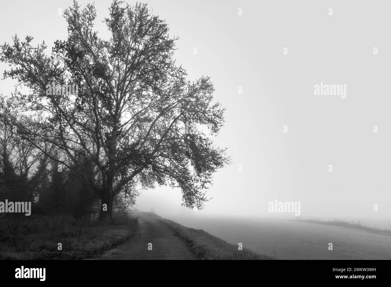 Schwarzweißbild dominiert von Nebel Stockfoto
