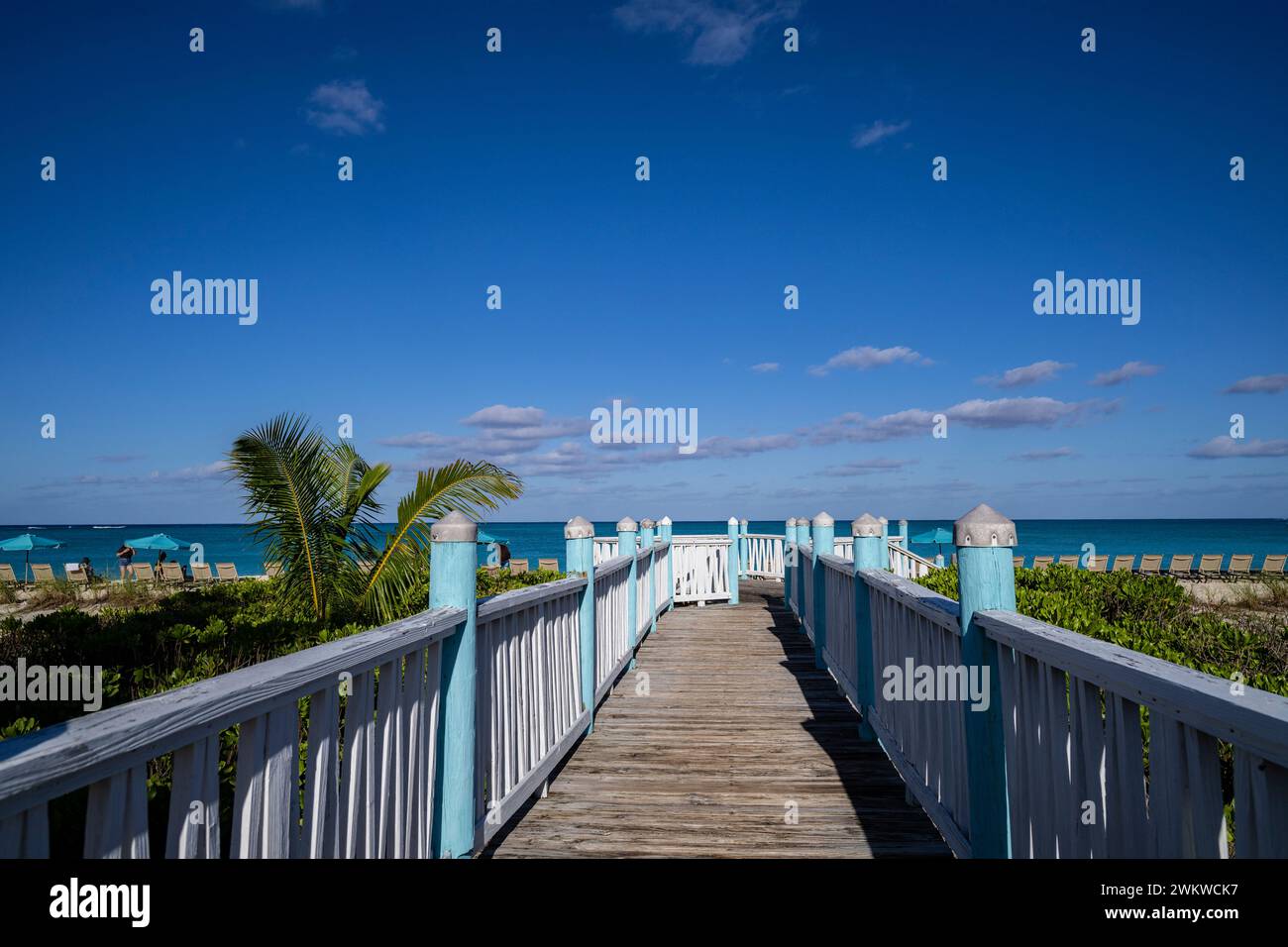 San Salvador Island Bahamas, Club Med Liegen am schönen weißen Sandstrand, fast wolkenloser Himmel, warm und einladend, klares Wasser, idyllisch, Freude Stockfoto