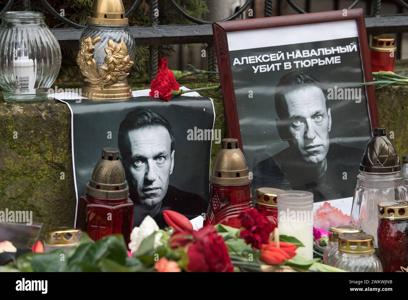 Danzig, Polen. 22. Februar 2024. Die Trauernden legen Blumen und Kerzen vor dem russischen Konsulat in Danzig ab, um dem Oppositionsführer Alexej Nawalny nach Bestätigung seines Todes durch die Gefängnisbehörden zu gedenken © Wojciech Strozyk / Alamy Live News Stockfoto