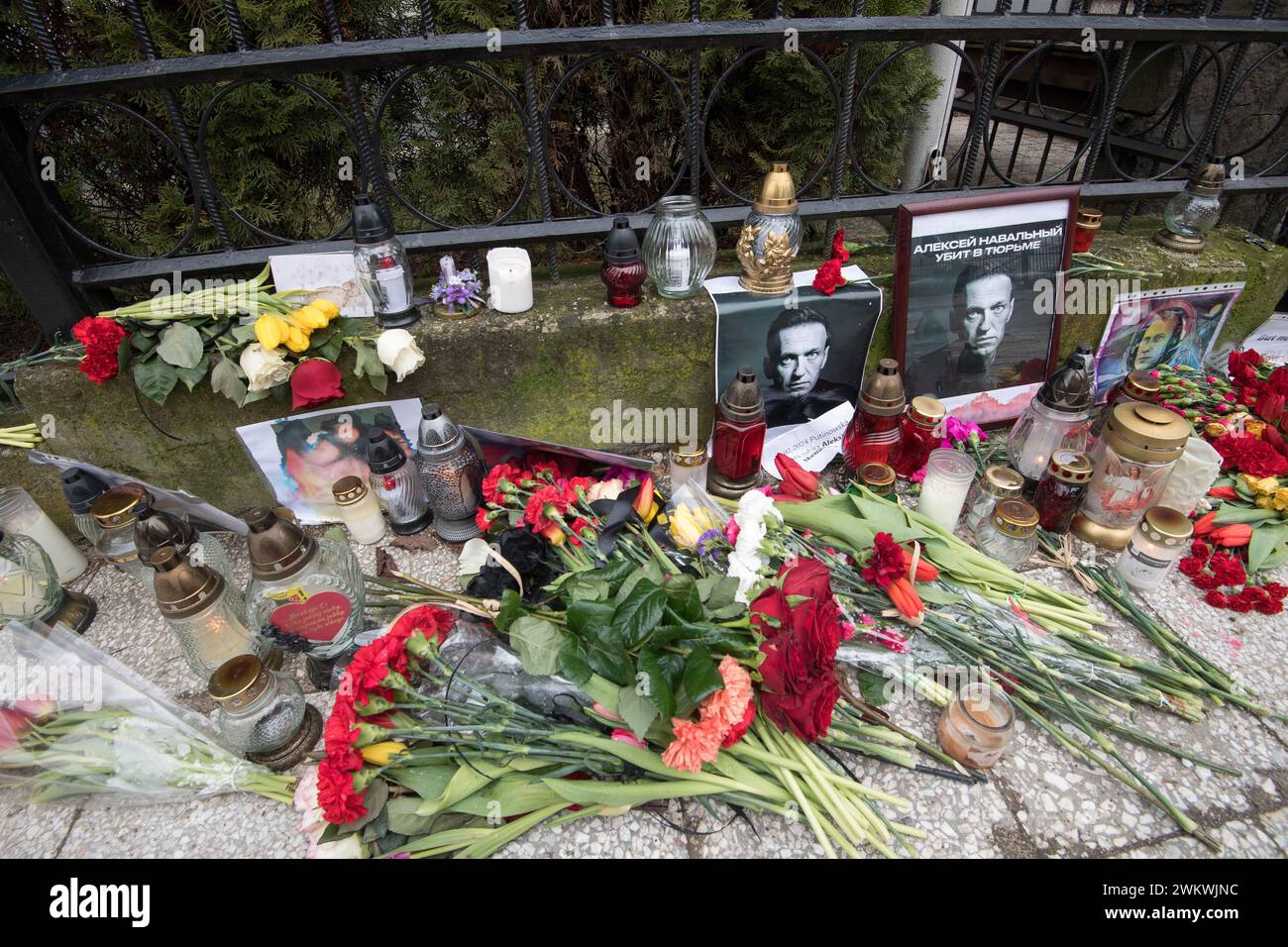 Danzig, Polen. 22. Februar 2024. Die Trauernden legen Blumen und Kerzen vor dem russischen Konsulat in Danzig ab, um dem Oppositionsführer Alexej Nawalny nach Bestätigung seines Todes durch die Gefängnisbehörden zu gedenken © Wojciech Strozyk / Alamy Live News Stockfoto