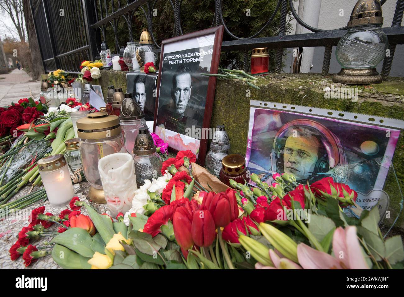 Danzig, Polen. 22. Februar 2024. Die Trauernden legen Blumen und Kerzen vor dem russischen Konsulat in Danzig ab, um dem Oppositionsführer Alexej Nawalny nach Bestätigung seines Todes durch die Gefängnisbehörden zu gedenken © Wojciech Strozyk / Alamy Live News Stockfoto