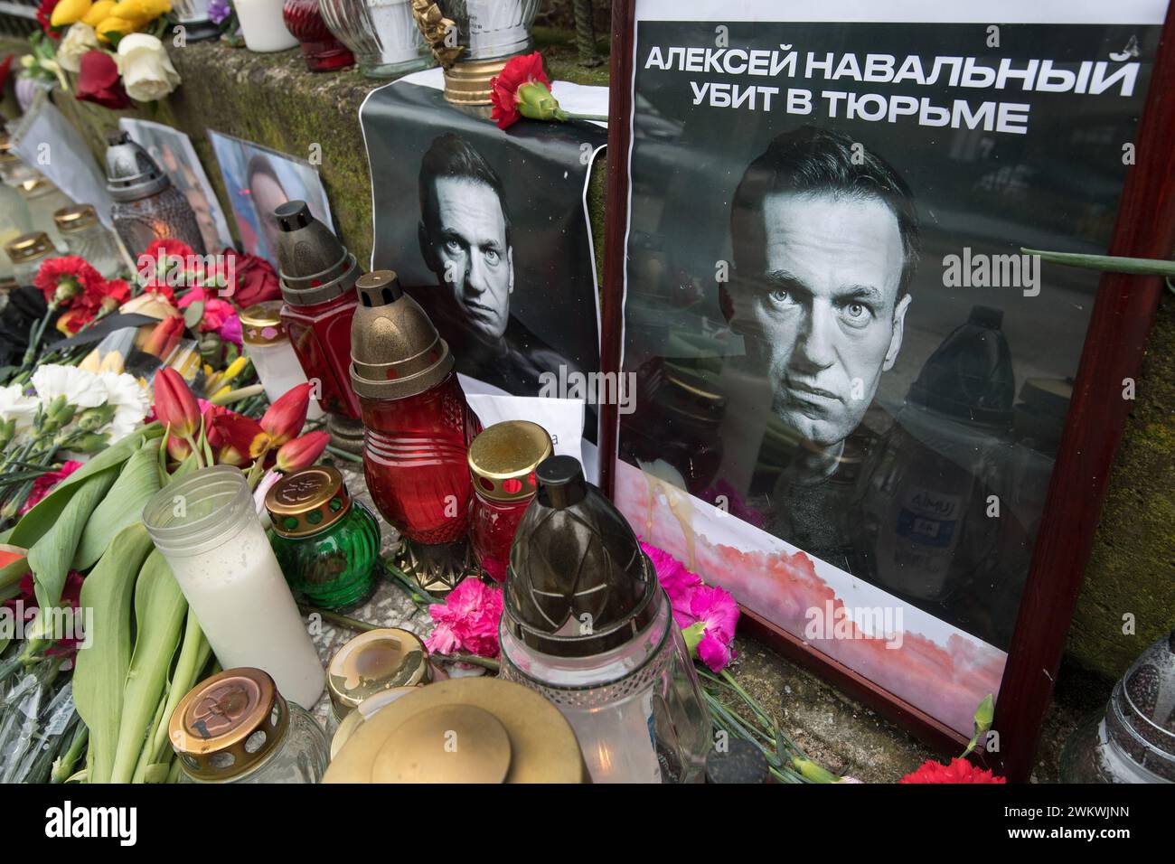 Danzig, Polen. 22. Februar 2024. Die Trauernden legen Blumen und Kerzen vor dem russischen Konsulat in Danzig ab, um dem Oppositionsführer Alexej Nawalny nach Bestätigung seines Todes durch die Gefängnisbehörden zu gedenken © Wojciech Strozyk / Alamy Live News Stockfoto