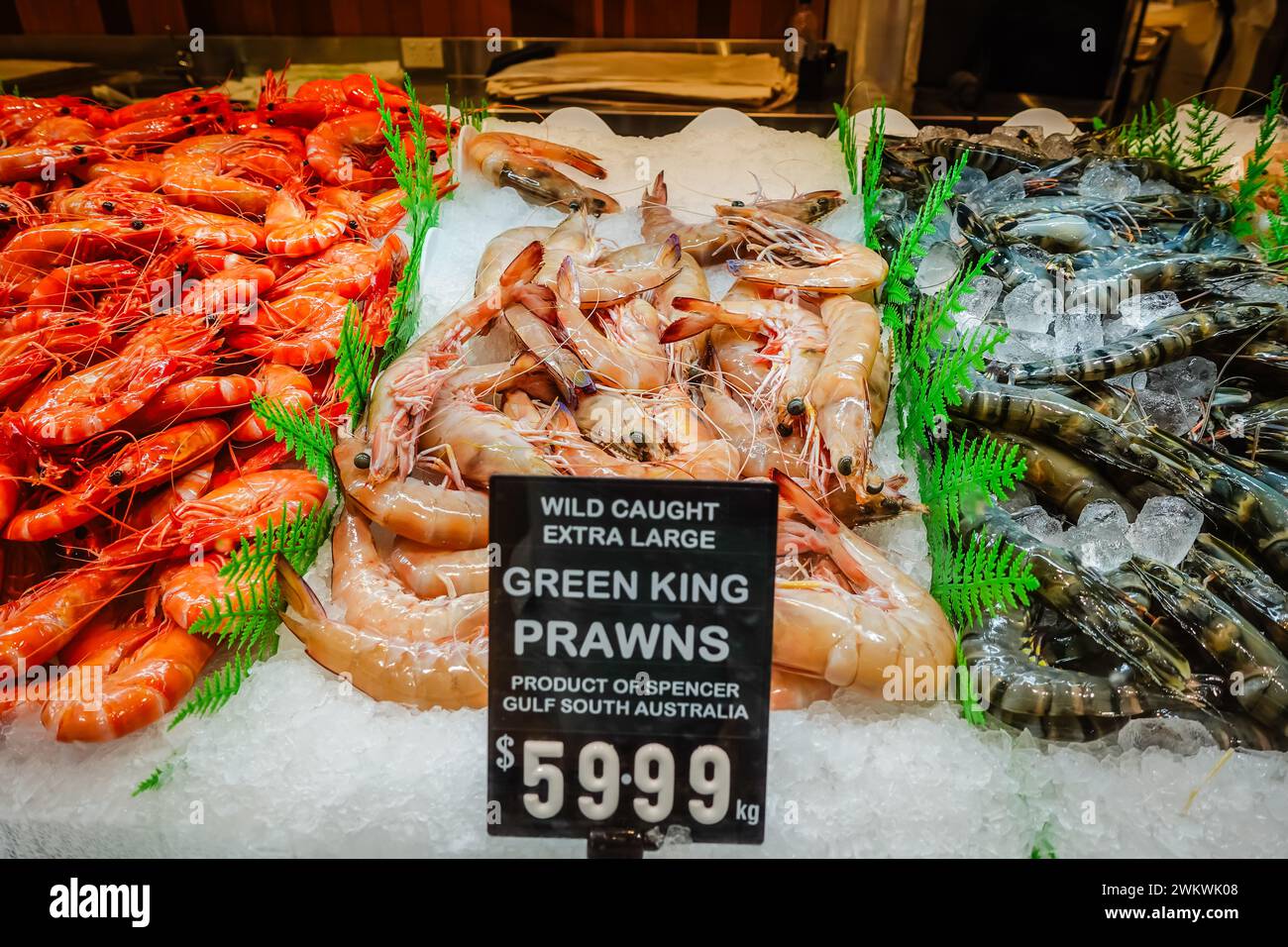 Verschiedene Garnelen zum Verkauf auf einem Fischmarkt mit Preisschildern in Australien. Stockfoto