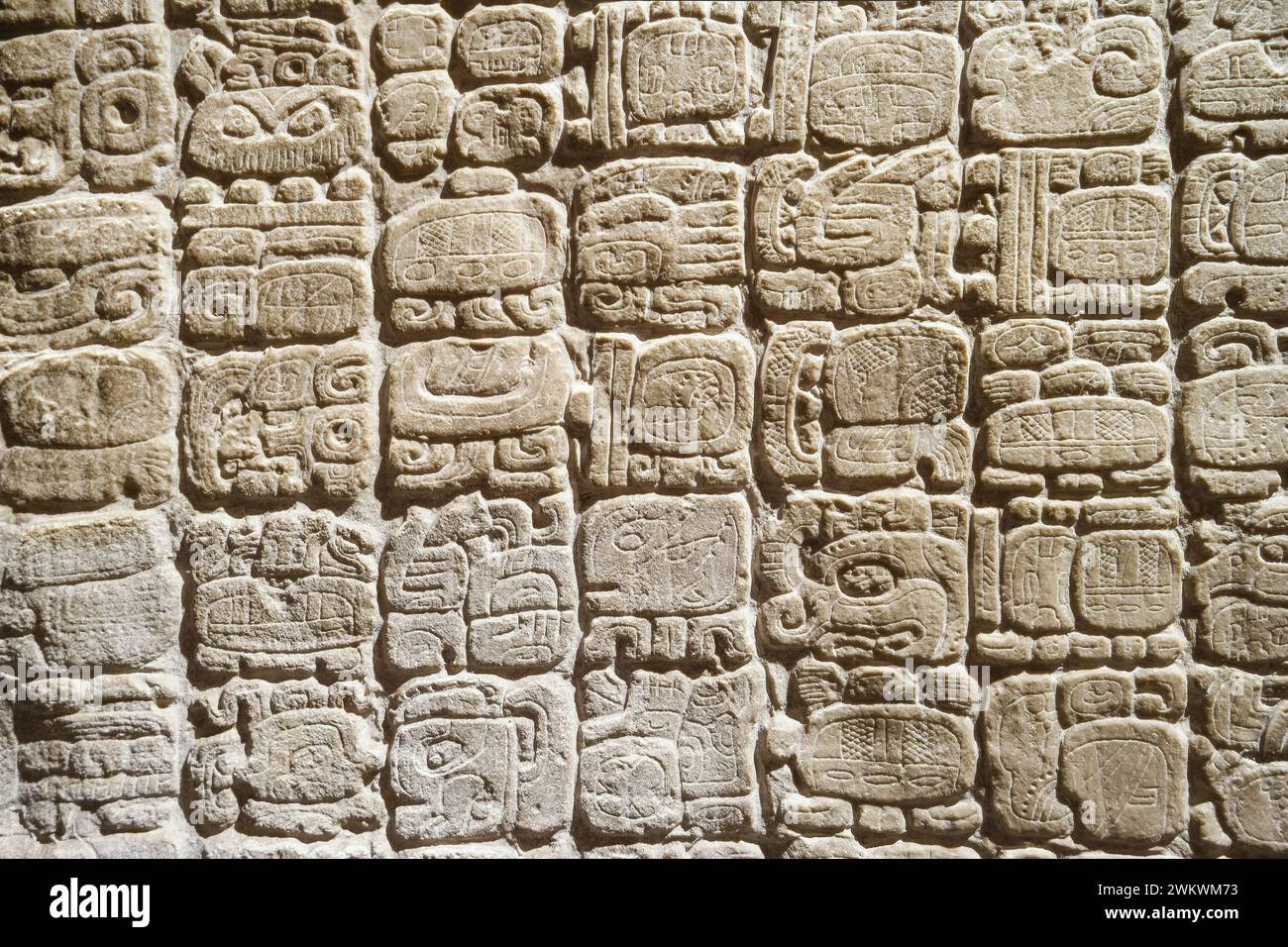 Maya-Skript über Stela 31 aus Tikal im Nationalmuseum für Anthropologie in Mexiko-Stadt, Mexiko. Stockfoto