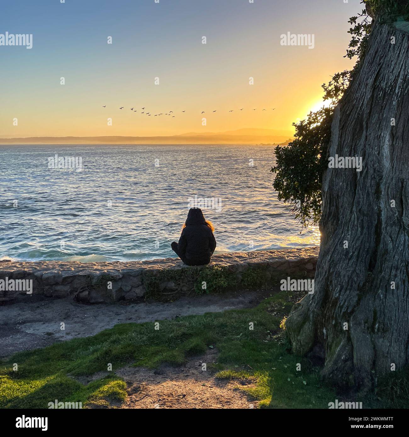 Junge Frau, die auf einer Steinmauer am Lover's Point sitzt, Pacific Grove, Kalifornien bei Sonnenaufgang. Eine Herde von Seevögeln am Horizont Stockfoto