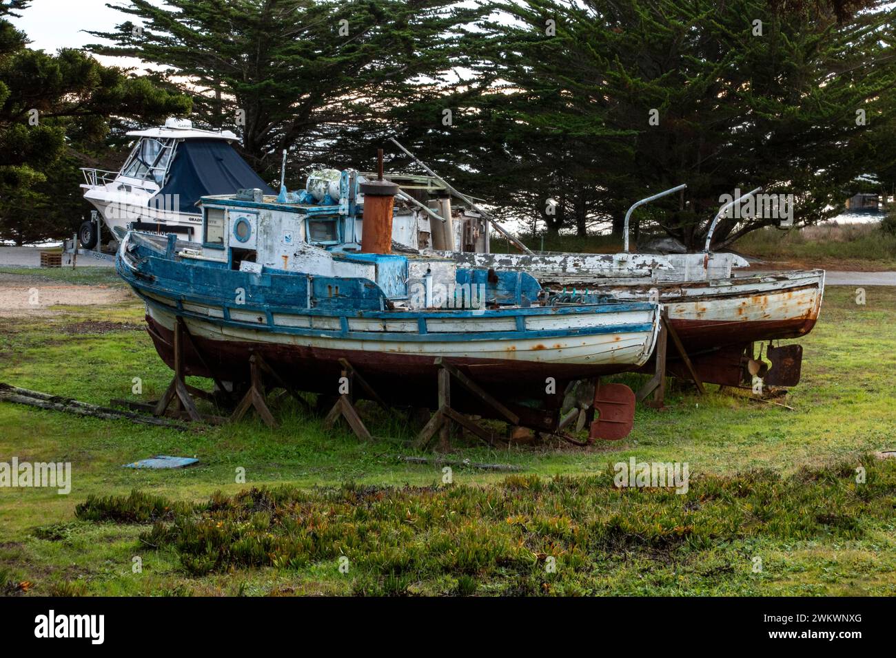 Alte Fischerboote ruhen im Monterey Boat Works, heute Teil der Hopkins Marine Station der Stanford University; Pacific Grove, Kalifornien Stockfoto