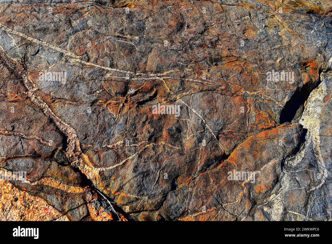 Granitfelsen-Nahaufnahmen am Highland Valley Trail Stockfoto