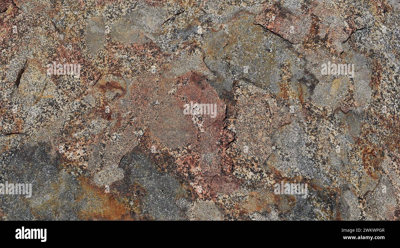 Granitfelsen-Nahaufnahmen am Highland Valley Trail Stockfoto