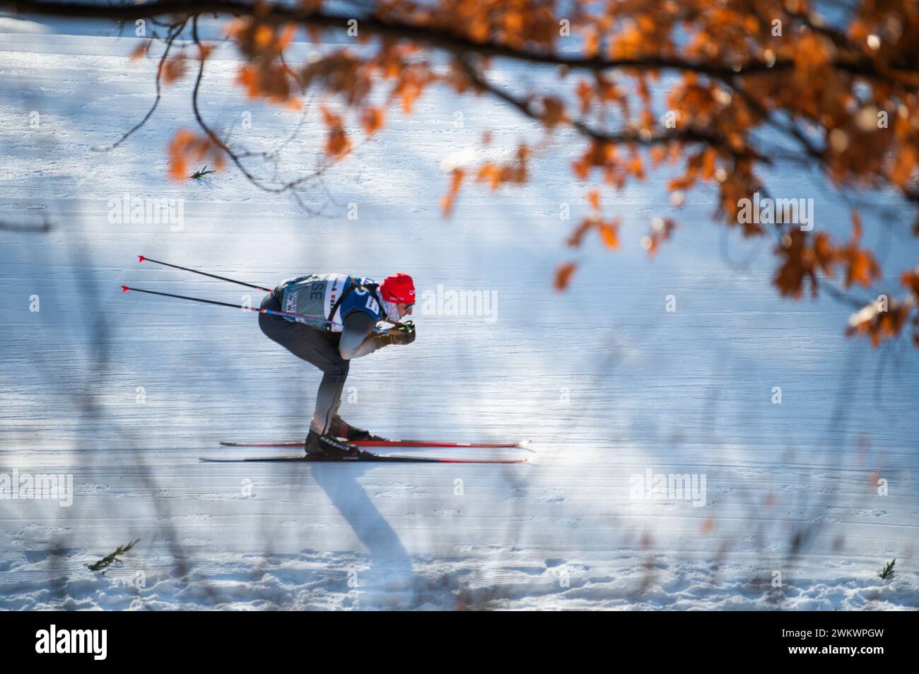 Skier testet die Strecke beim FIS-Skilanglauf-Weltcup im Theodore Wirth Park Loppet CUP in Minneapolis, Minnesota, USA. Stockfoto