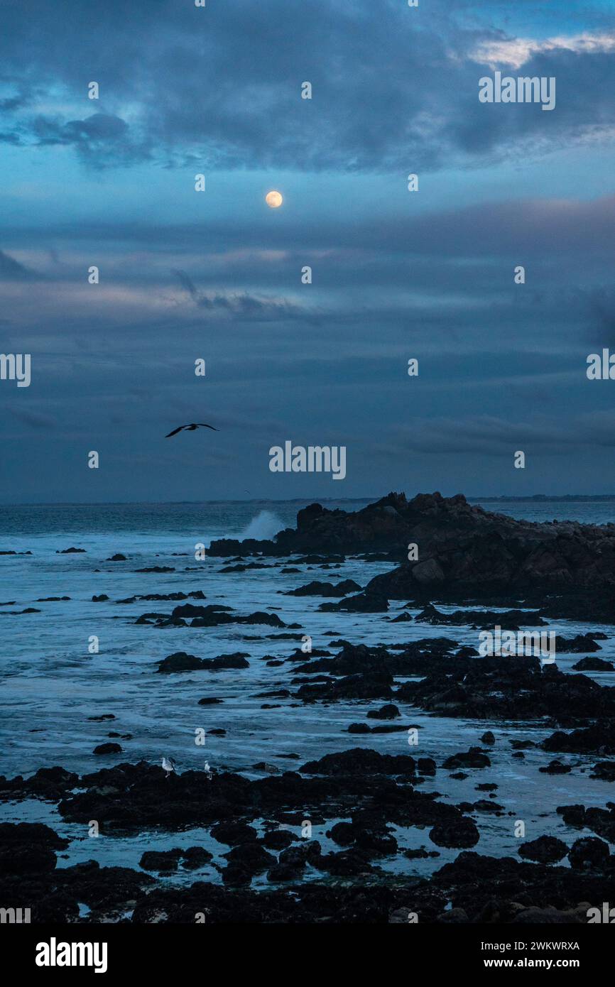 Mondaufgang in Point Pinos; Monterey Bay, Pacific Grove, Kalifornien Stockfoto