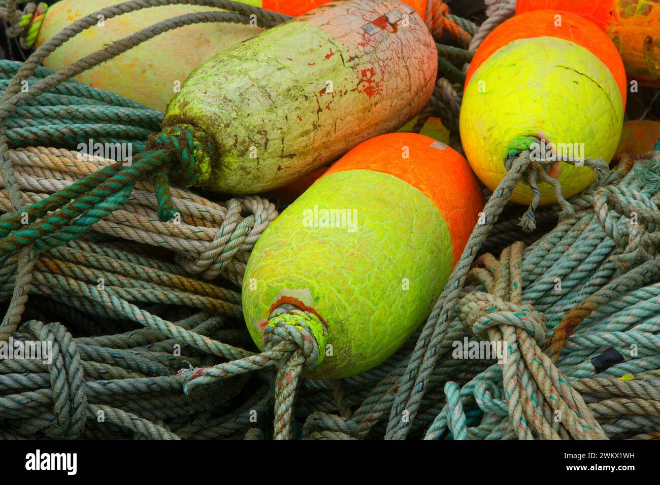 Crab Pot schwebt, der Hafen von Newport, Newport, Oregon Stockfoto