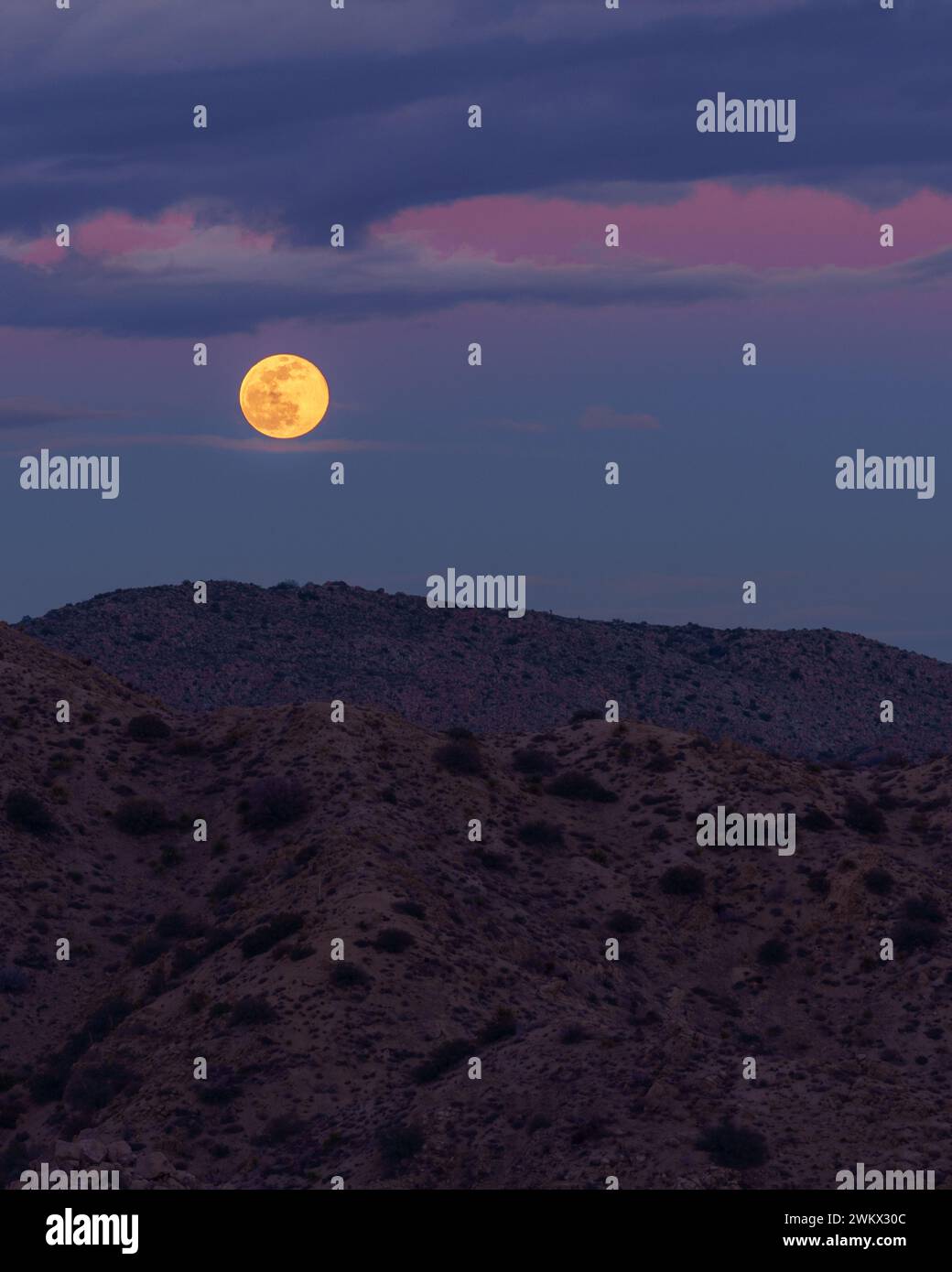 Voller Wolf Mond, der mit einem bewölkten Pastellhimmel über den Wüstenbergen im Yucca Valley, Kalifornien, aufsteigt Stockfoto