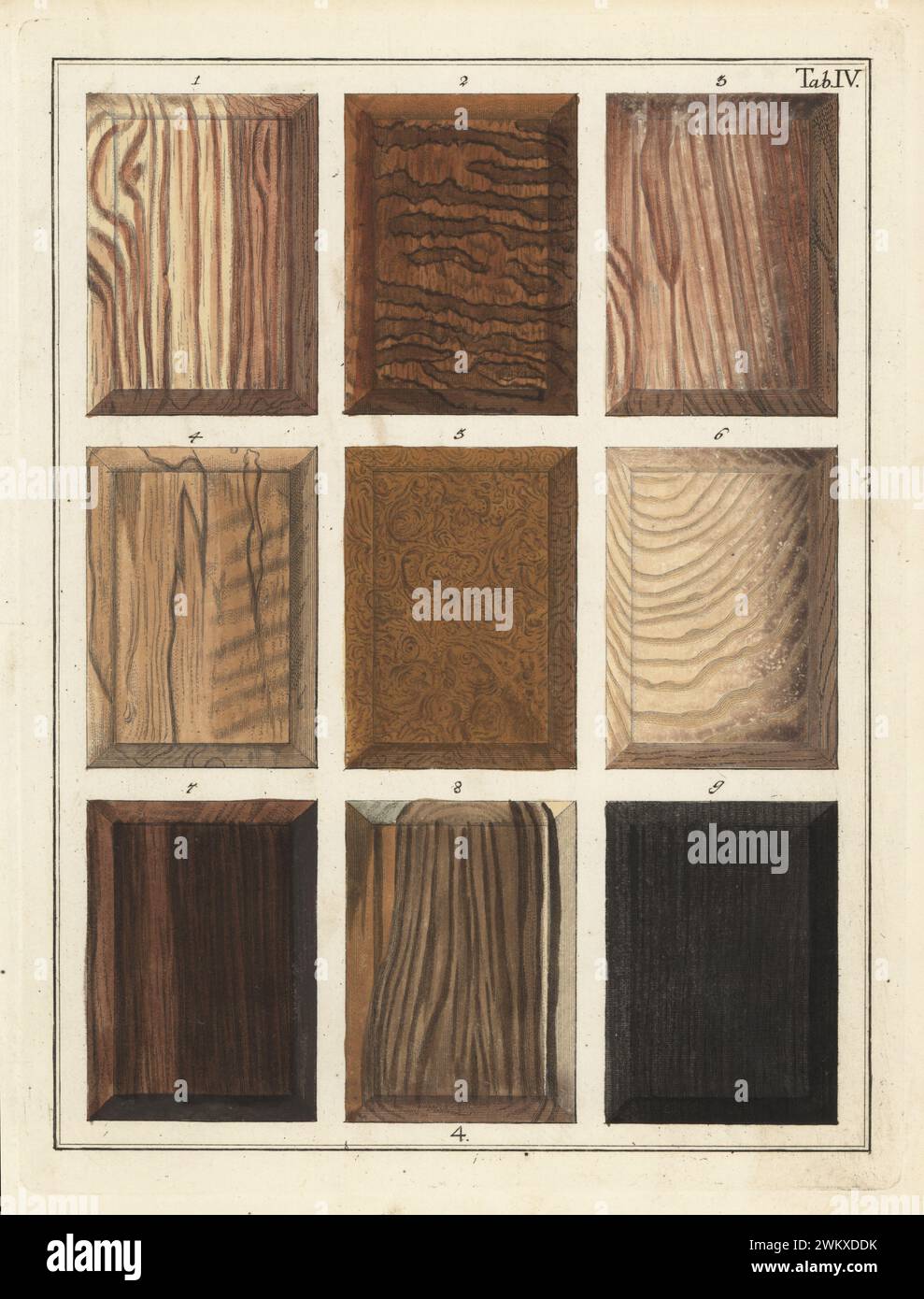 Rosafarbenes Indienholz 1, Briefholz 2, rosafarbenes Holz 3, Buchsbaum 4-6, Ebenholzbäume 7-9. Handkolorierter Kupferstich von Jan Christian Sepp aus Martinus Houttuyns Icones Lignorum exoticorum et nostratium: Wood Science, Representations of Native and Exotic Woods, J. C. Sepp, Amsterdam, Holland, 1773. Stockfoto