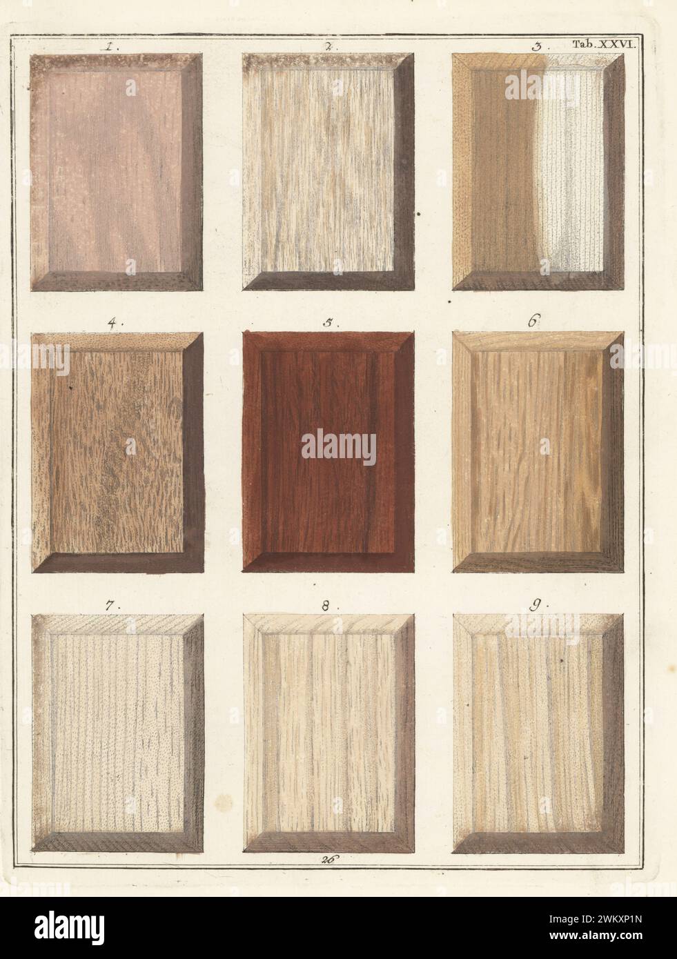 Chinesisches Holz 1,3,6,7,9, Martini 2,4, gilli Blume Holz 5 und Surinam Holz 8. Handkolorierter Kupferstich von Jan Christian Sepp aus Martinus Houttuyns Icones Lignorum exoticorum et nostratium: Wood Science, Representations of Native and Exotic Woods, J. C. Sepp, Amsterdam, Holland, 1773. Stockfoto