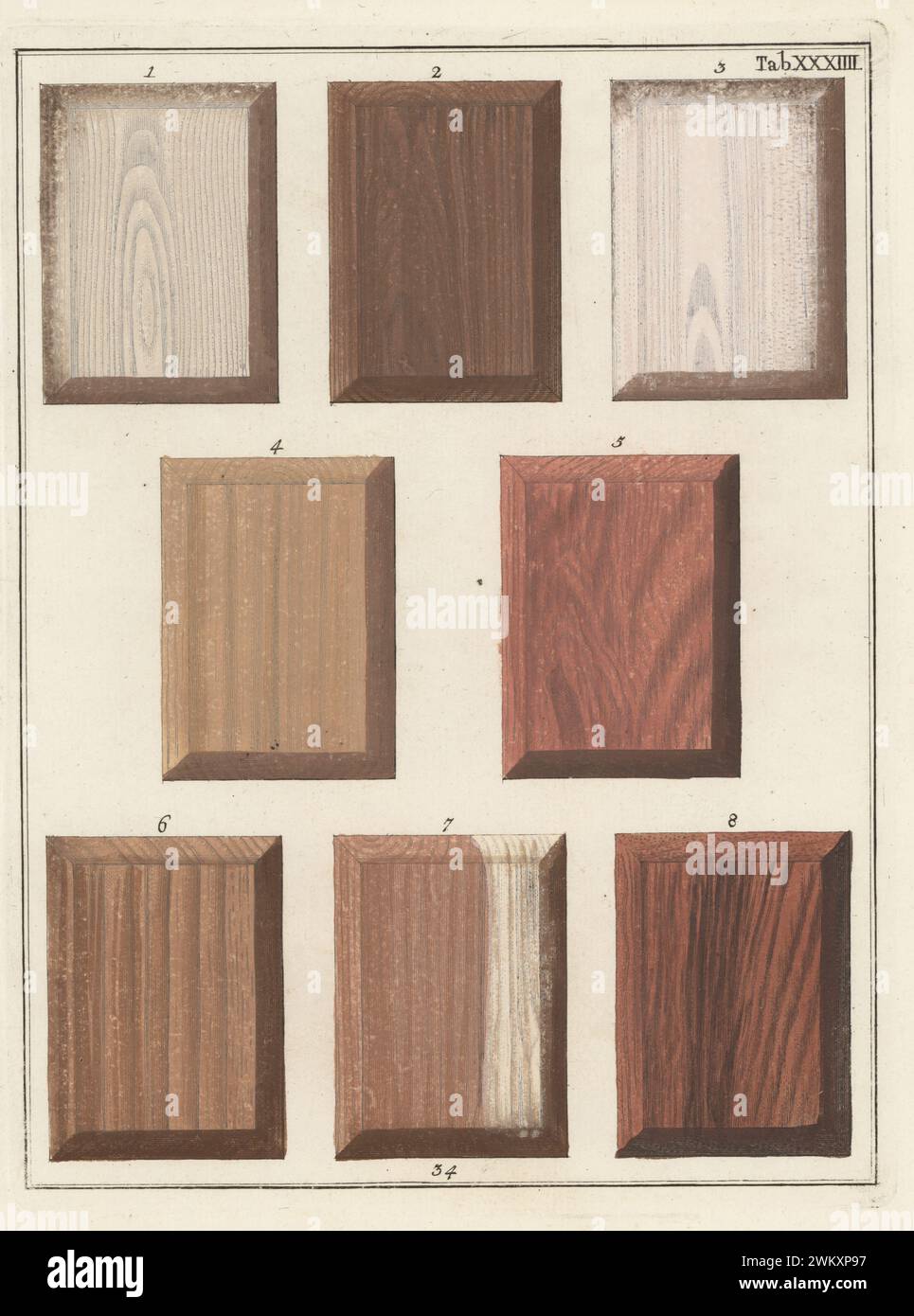 Sporn Lorbeer 1, Sporcken 2, Persischer Flieder 3, nessat 4, süßduftendes Morice Island Holz 5, Noche 6, Boscuwa Holz 7 und Madagaskar süßduftendes Holz 8. Handkolorierter Kupferstich von Jan Christian Sepp aus Martinus Houttuyns Icones Lignorum exoticorum et nostratium: Wood Science, Representations of Native and Exotic Woods, J. C. Sepp, Amsterdam, Holland, 1773. Stockfoto