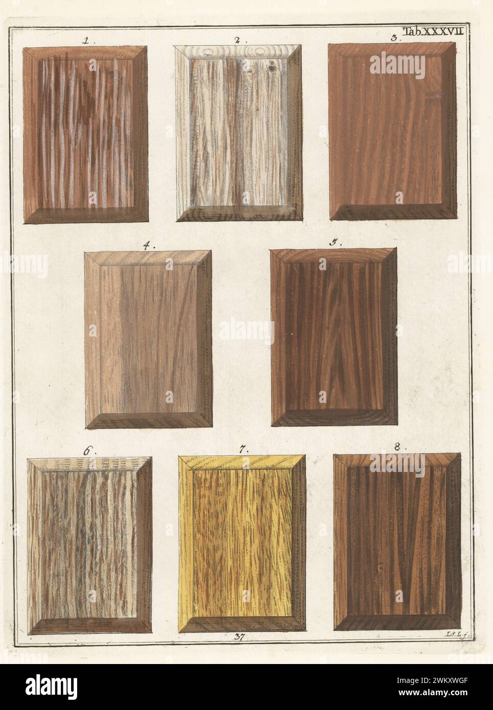 Dunkles Amaranthus 1, Bignonia catalpa 2, helles Amaranthus 3, Cariopulades Holz 4, Colletepi 5, peruanischer Kakteen 6, brasilianischer Bimasholz 7 und Ebenholz 8. Handkolorierter Kupferstich von Jan Christian Sepp aus Martinus Houttuyns Icones Lignorum exoticorum et nostratium: Wood Science, Representations of Native and Exotic Woods, J. C. Sepp, Amsterdam, Holland, 1773. Stockfoto