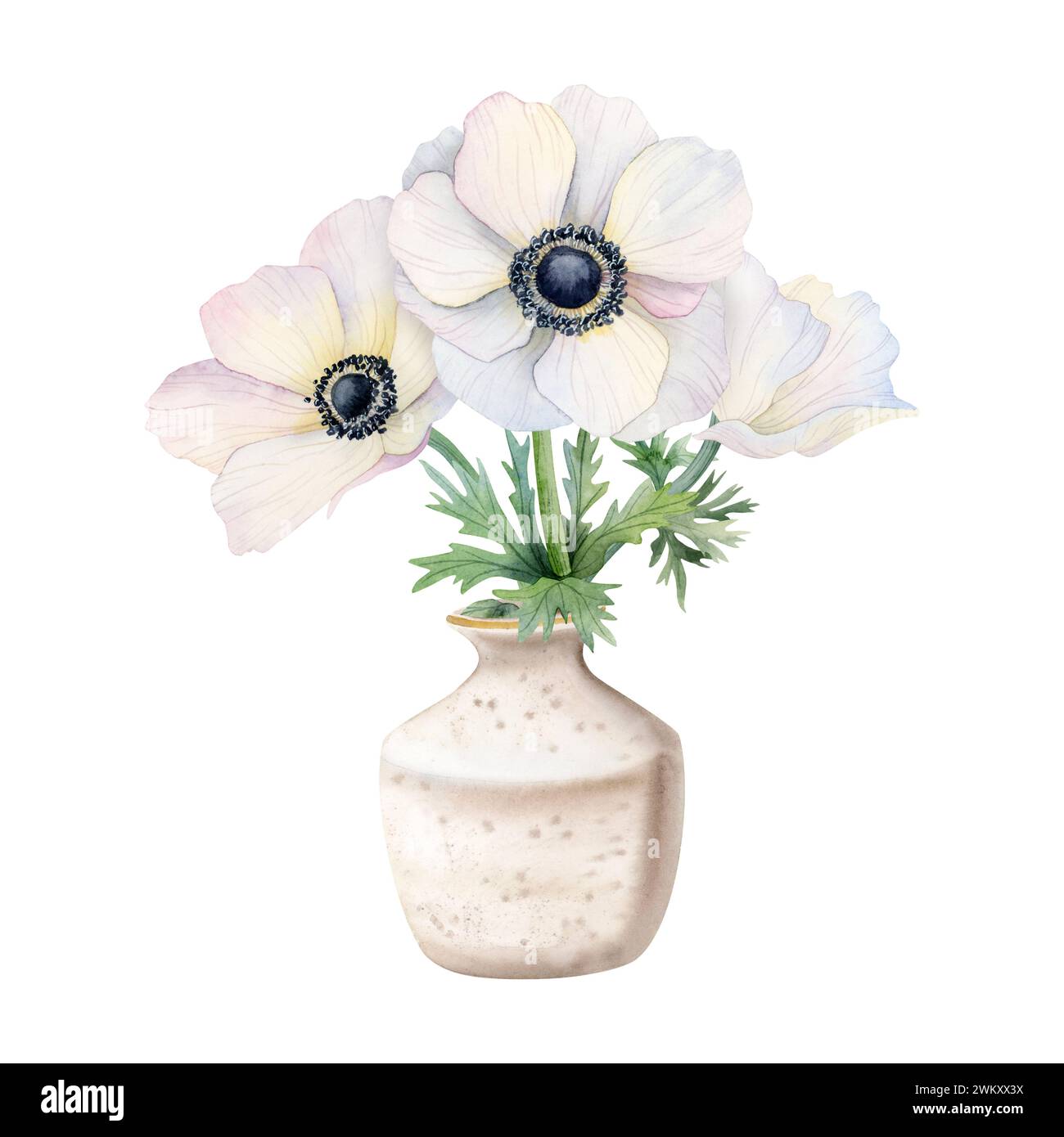 Weiße Anemonen Wildblumenstrauß in keramischer beiger Vase Aquarellillustration isoliert auf weiß für florale Designs Stockfoto