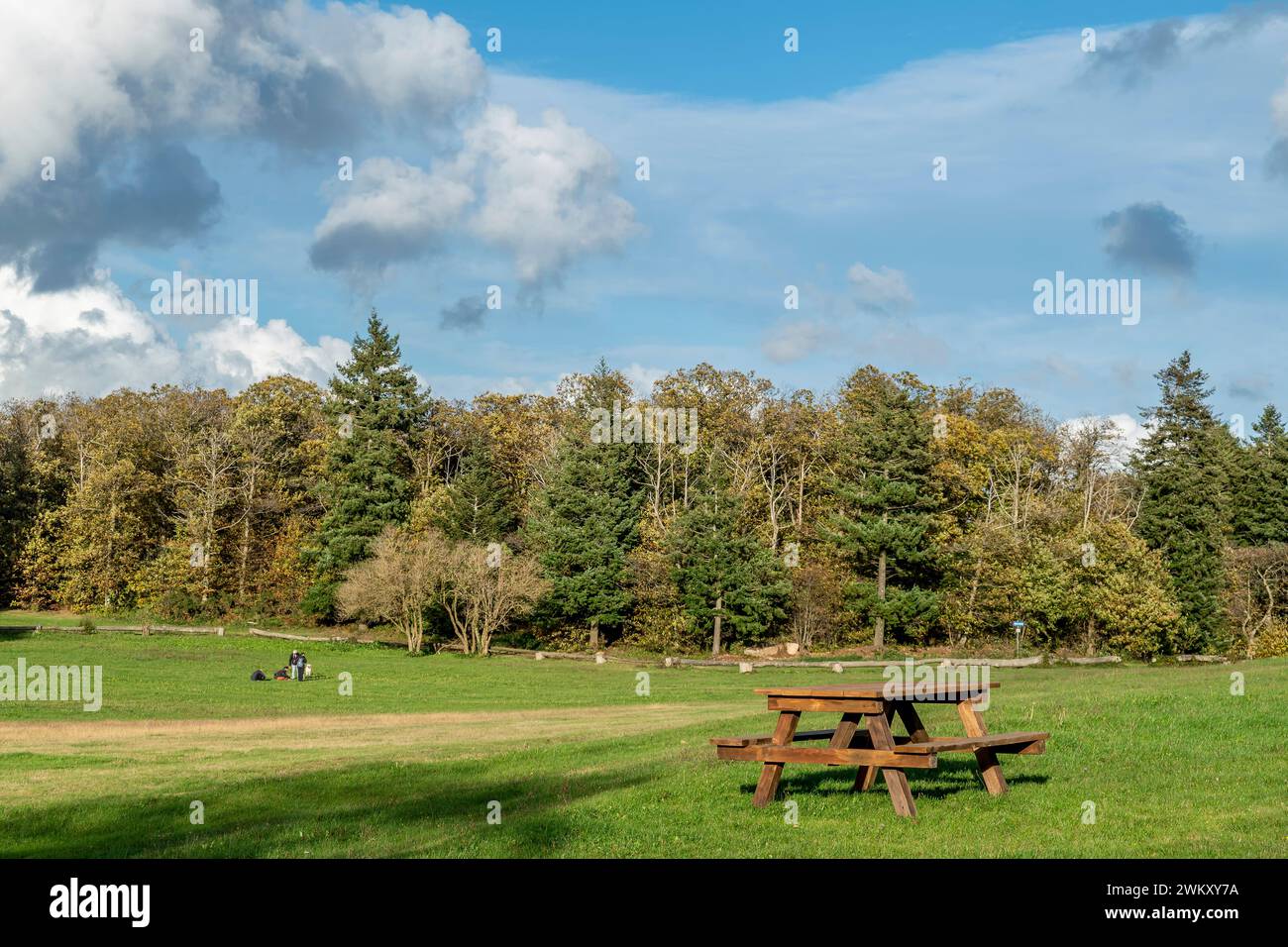 Ein hölzerner Picknicktisch in Santallago, Italien, ideal für einen Ausflug in die Natur Stockfoto