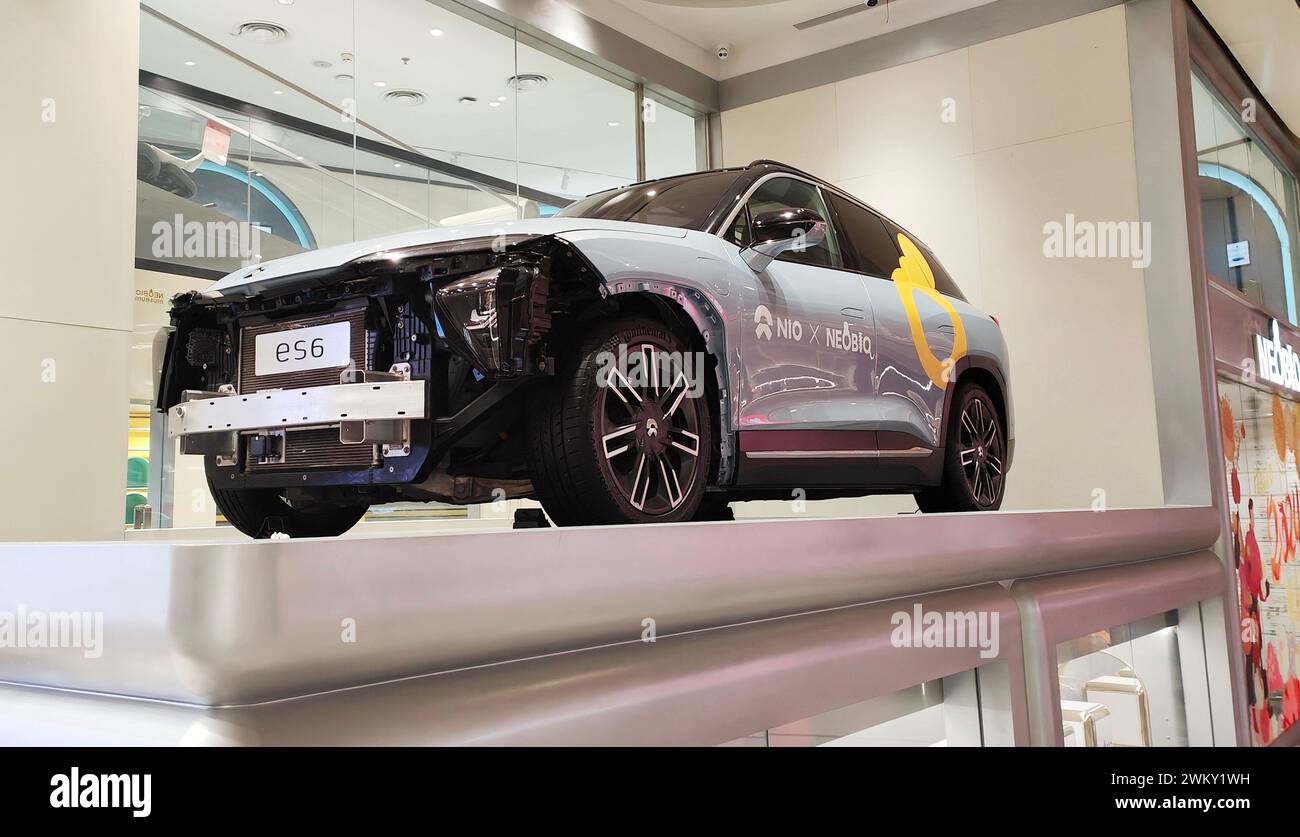 SHANGHAI, CHINA - 16. FEBRUAR 2024 - in Chinas erstem interaktiven Wissenschafts- und Technologiemuseum NEOBIO Science and Technology Museum, dem Stockfoto