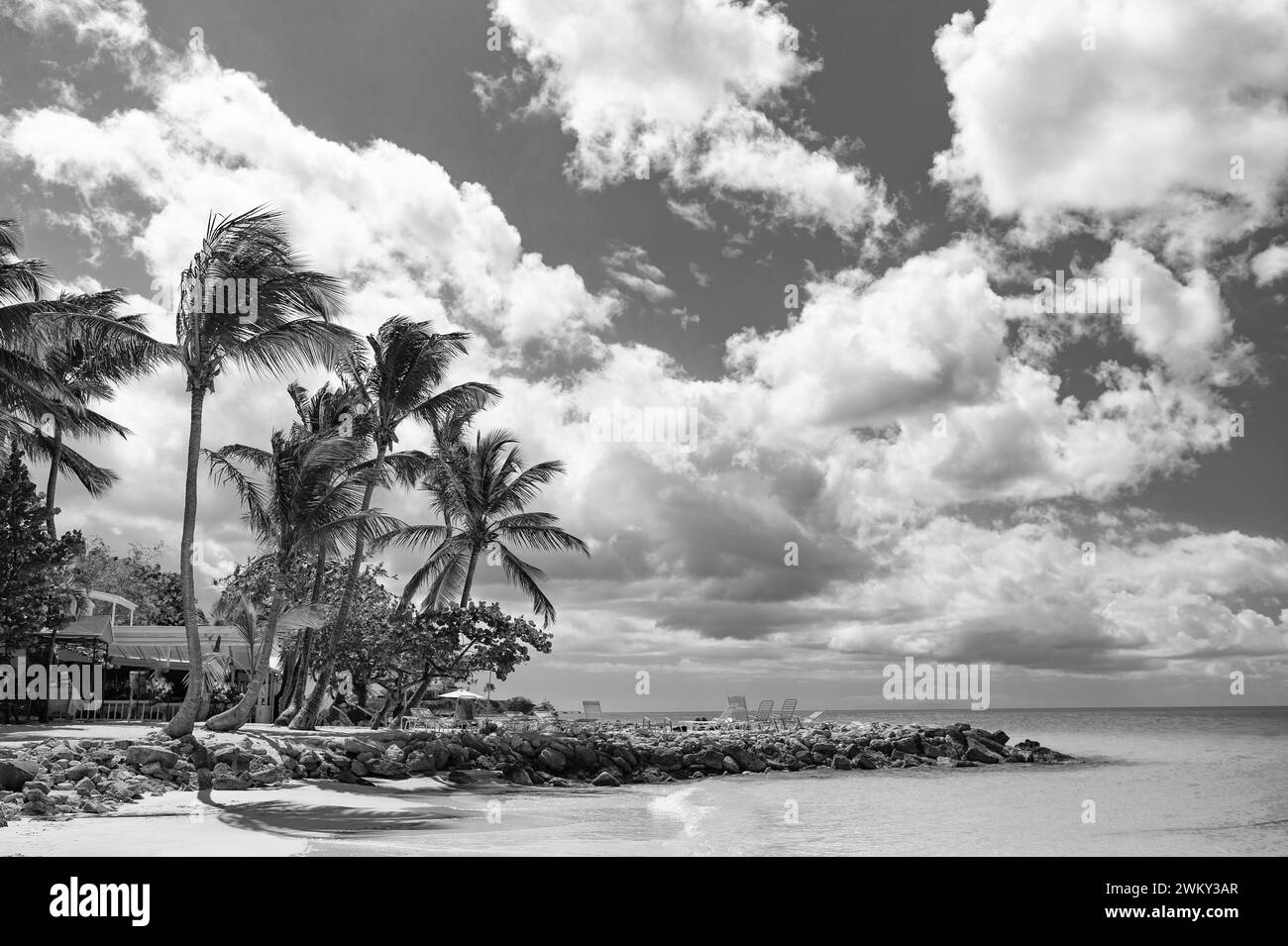Sommerurlaub am Strand mit Palmen. Sommerurlaub am Strand in Seascape. Stockfoto