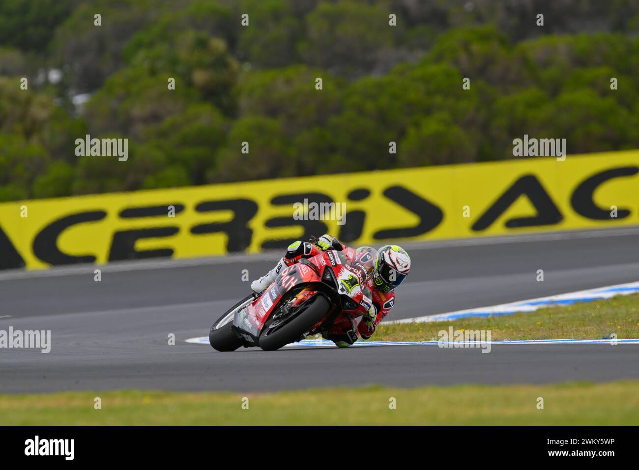 MELBOURNE, AUSTRALIEN. 23. Februar 2024. Alvaro Bautista (1) aus Spanien fuhr mit dem Ducati Panigale V4R für Aruba.IT Racing - Ducati bei der Eröffnungsrunde der Superbike-Weltmeisterschaft 2024 auf dem Phillip Island Circuit. Karl Phillipson/Alamy Live News Stockfoto