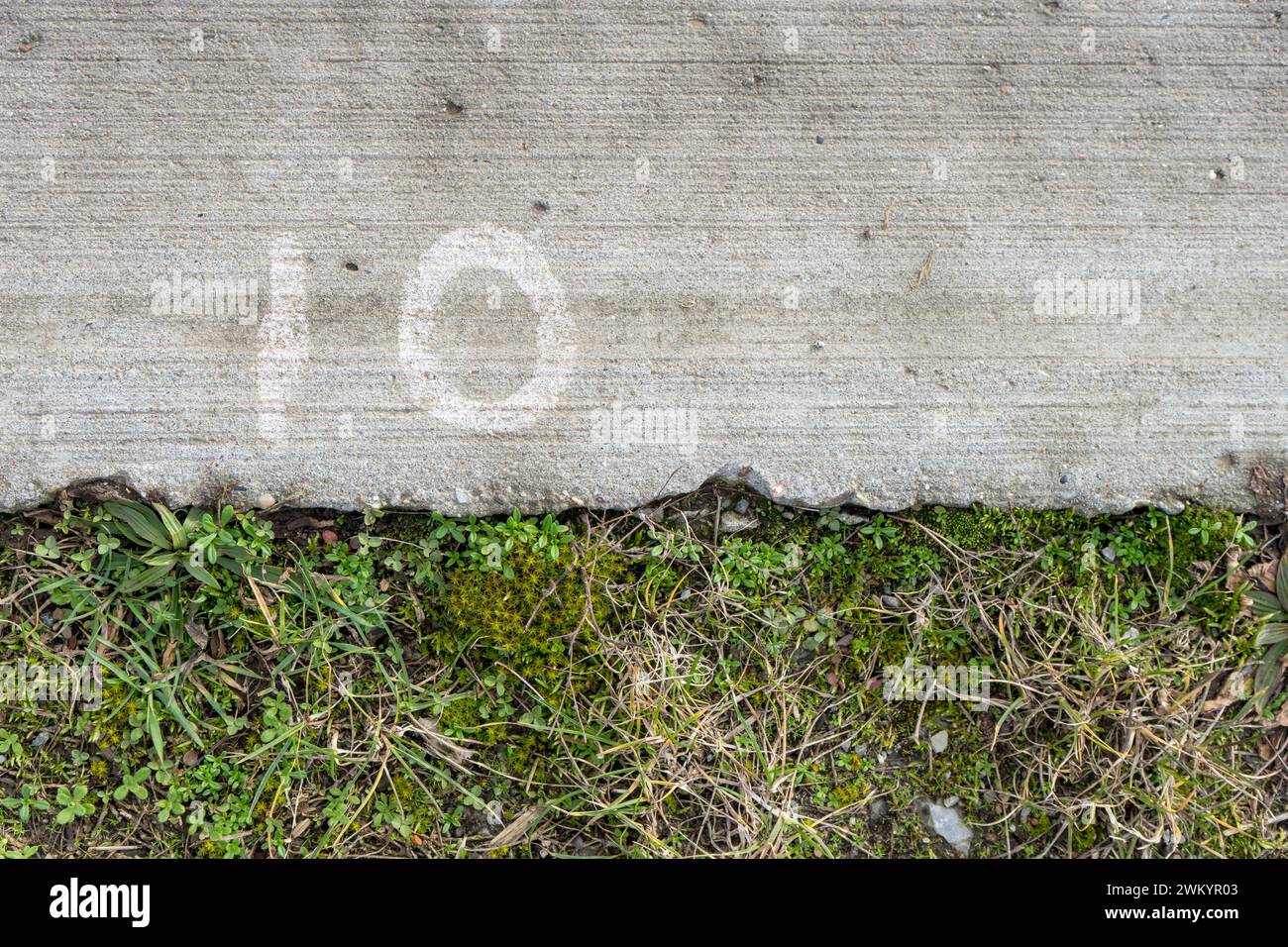 Betonfläche mit der Zahl 10 und Rasen mit Wildpflanzen Stockfoto