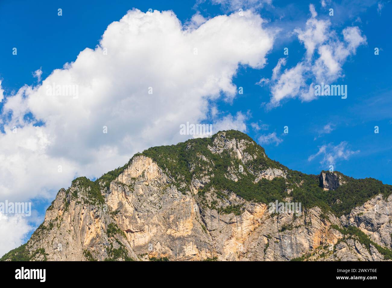 Italien Trentino Valsugana - Monte Lefre Stockfoto
