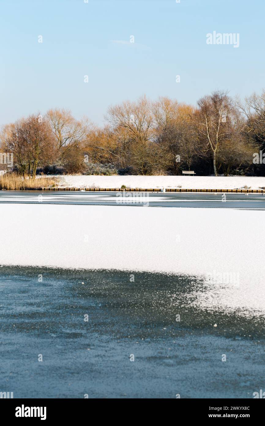 Gefrorener Goldsworth Park Lake in Woking, Surrey, Großbritannien. Februar 2018. Frieren Sie Vögel bei ungewöhnlichem Winterwetter auf Eis ein. Stockfoto