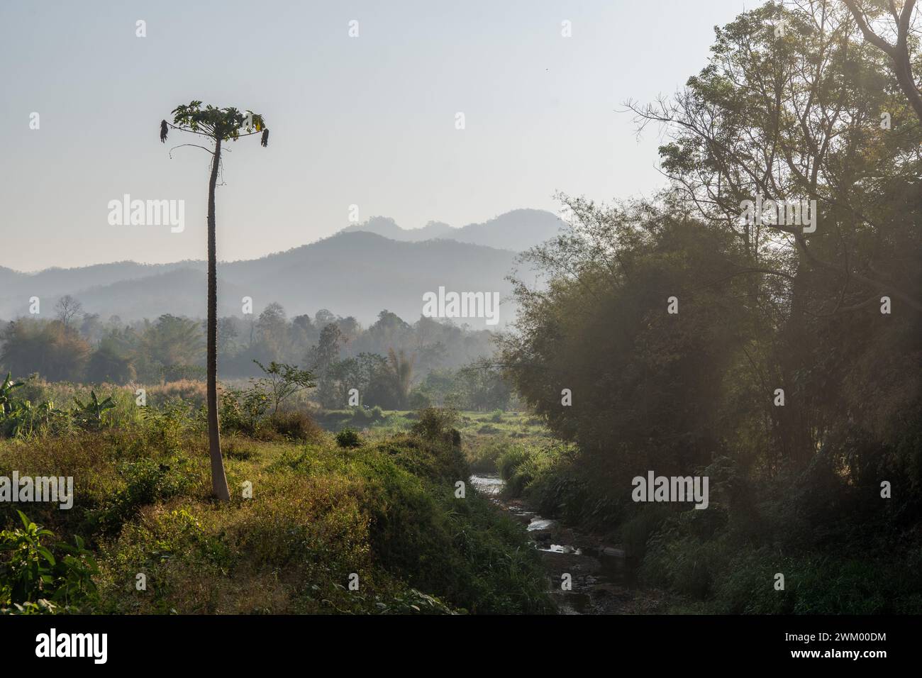 Blick auf Landschaft und Touristen in der Provinz Mae Hong Son, Thailand Stockfoto