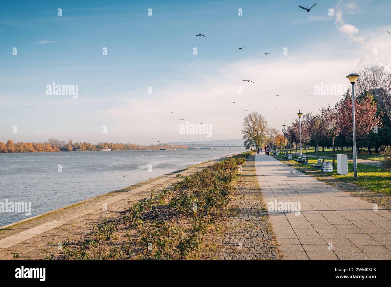 Genießen Sie einen gemütlichen Spaziergang entlang des malerischen Donaudamms in Belgrad, Serbien, wo die Skyline der Stadt und die historischen Brücken einen atemberaubenden Eindruck hinterlassen Stockfoto