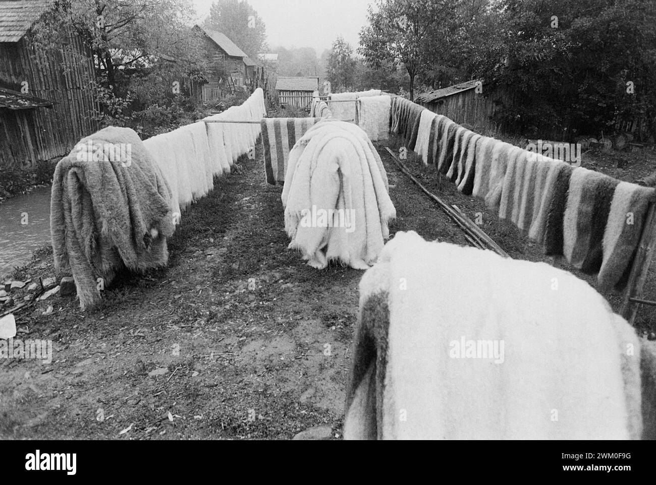 Vrancea County, Rumänien, 2000. Eine große Anzahl traditioneller Wolldecken trocknet nach dem Waschen in einer Wassermühle aus. Stockfoto