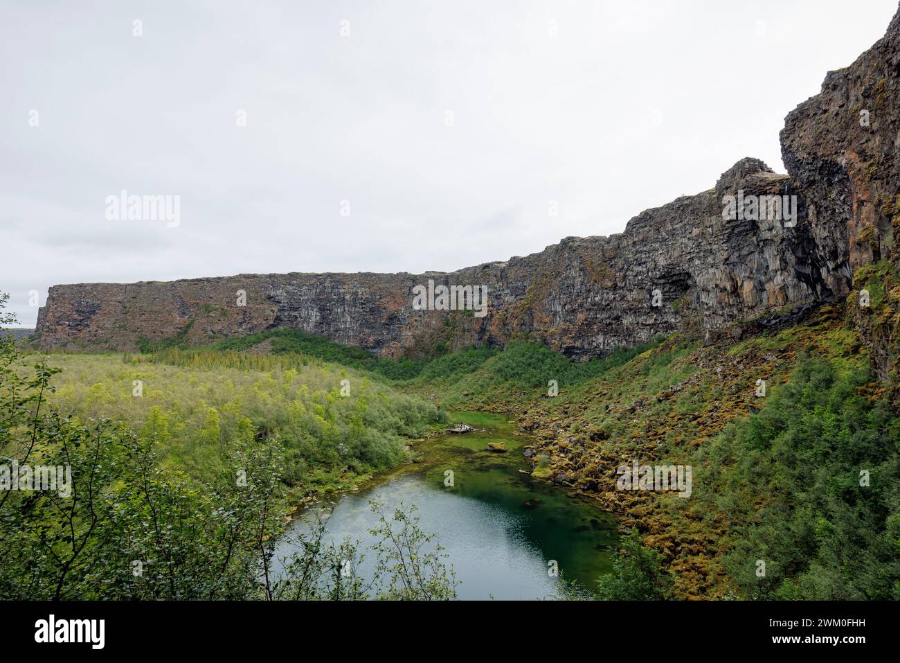 Asbyrgi Canyon oder das Schutzgebiet der Götter, ein magischer Ort und eine natürliche Attraktion in Island. Naturwunder Touren Konzept. Stockfoto