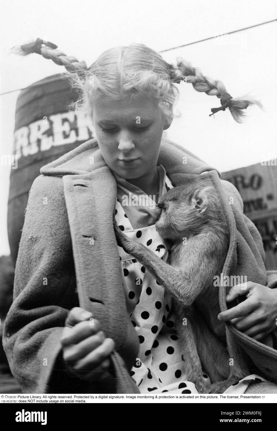 Pippi Langstrumpf wurde 1949 erstmals in einem Film von per Gunvall gedreht. Viveca Serlachius (1923–1993) spielte die Rolle des Pippi Langstrumpfs. Der Film wurde am 9. Dezember 1949 im Royal Cinema in Stockholm uraufgeführt. Hier ist Viveca Serlachius während der Dreharbeiten des Films in typischen Pippi-Kleidern, Sommersprossen und Zöpfen gekleidet. Kristoffersson Ref. AR69-4 *** Lokaler Titel *** Stockfoto