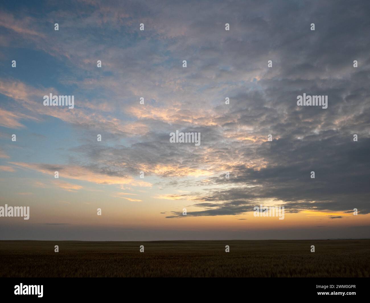 Prairie Sunrise, Foremost, Alberta, Kanada Stockfoto