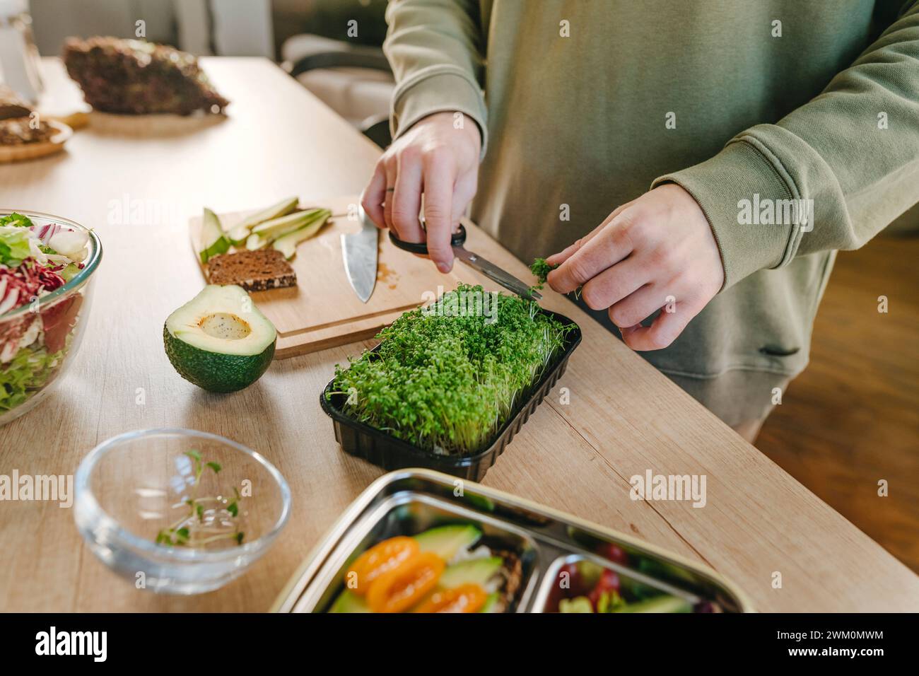 Mann schneidet Microgrün mit einer Schere für Lunchboxen Stockfoto