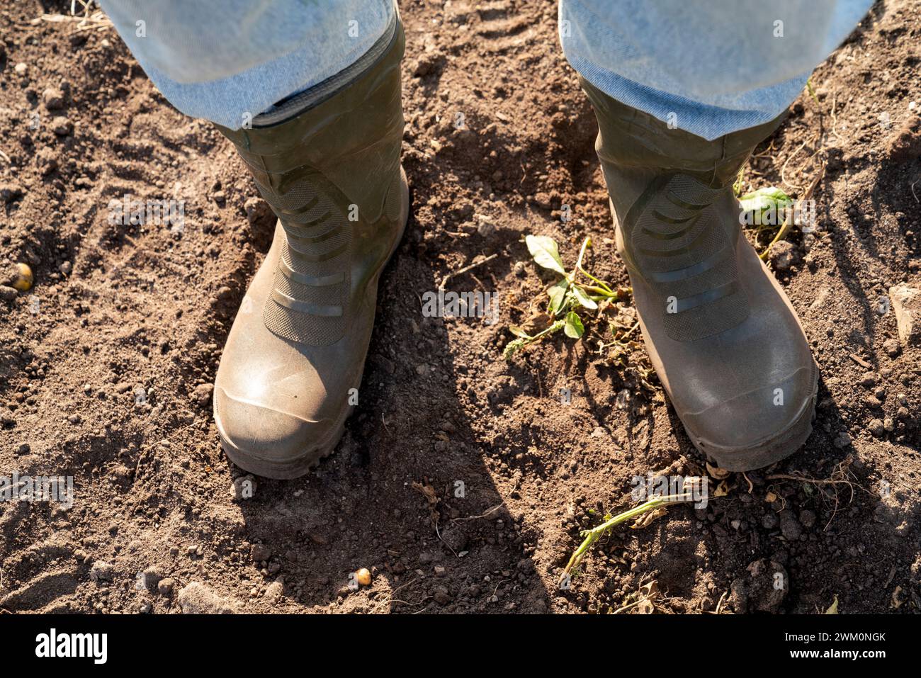 Bauer mit Gummistiefeln, der auf dem Boden steht Stockfoto