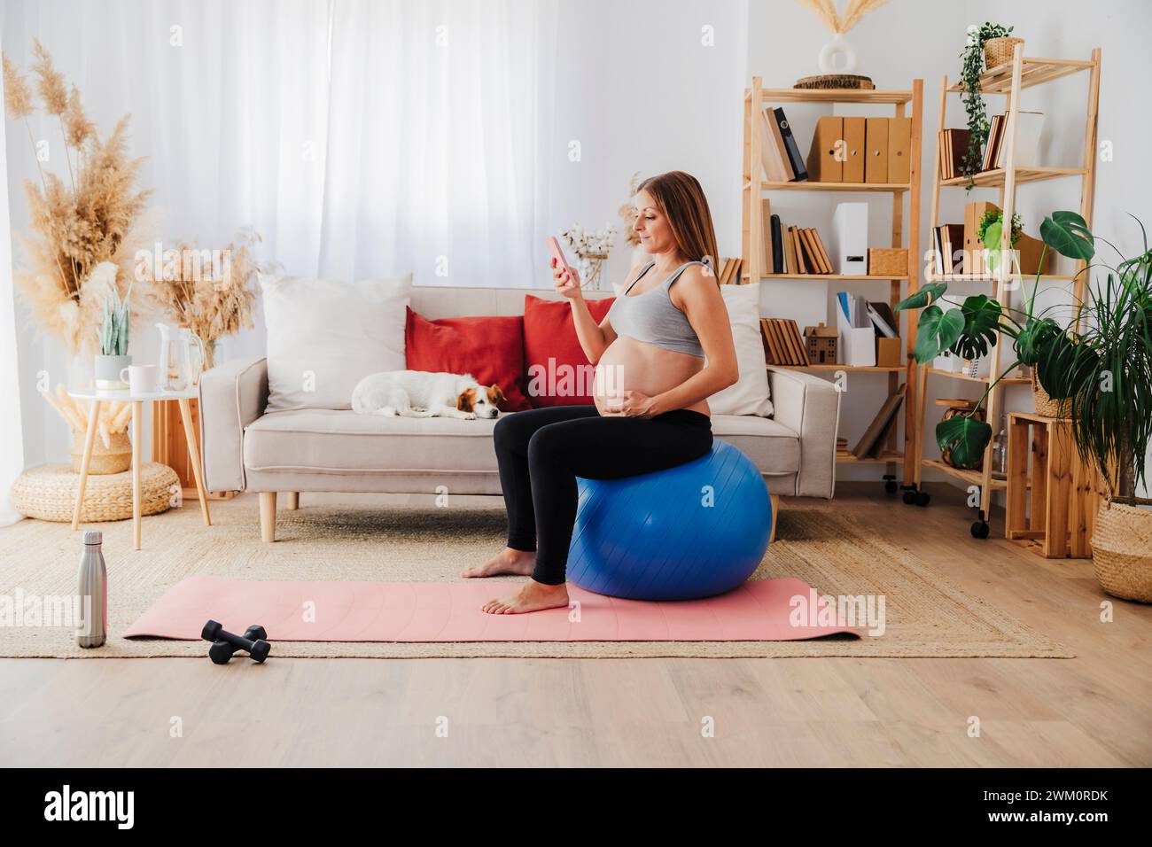 Schwangere Frau, die ihr Smartphone benutzt und zu Hause im Wohnzimmer auf einem Fitnessball sitzt Stockfoto