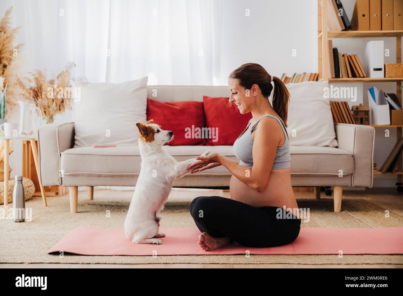 Lächelnde schwangere Frau, die mit Hund spielt, der auf Yogamatte im Wohnzimmer zu Hause sitzt Stockfoto