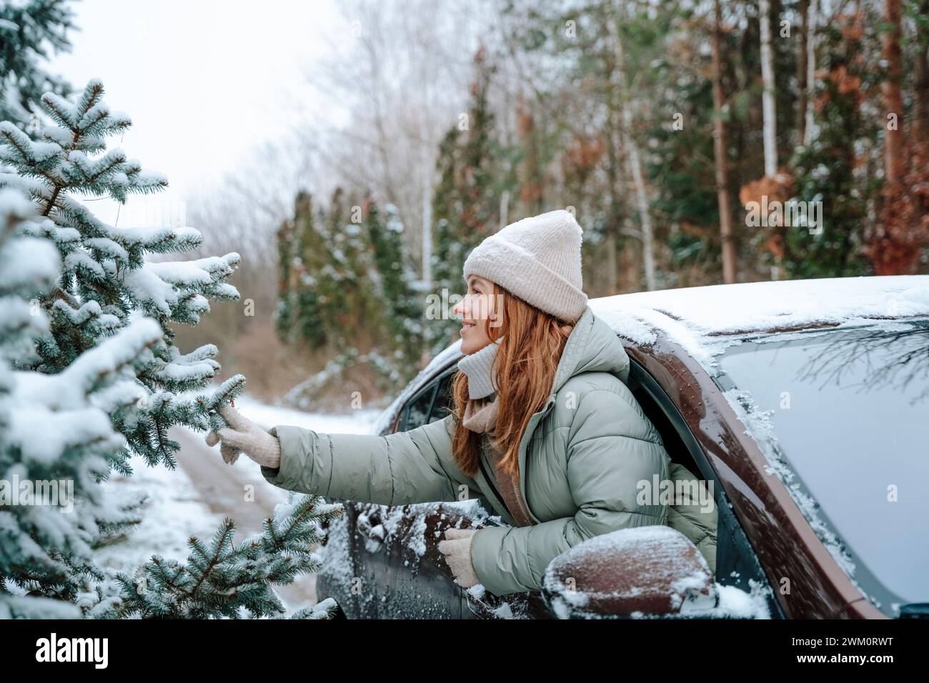 Frau, die schneebedeckte Bäume berührt, die sich aus dem Autofenster beugt Stockfoto