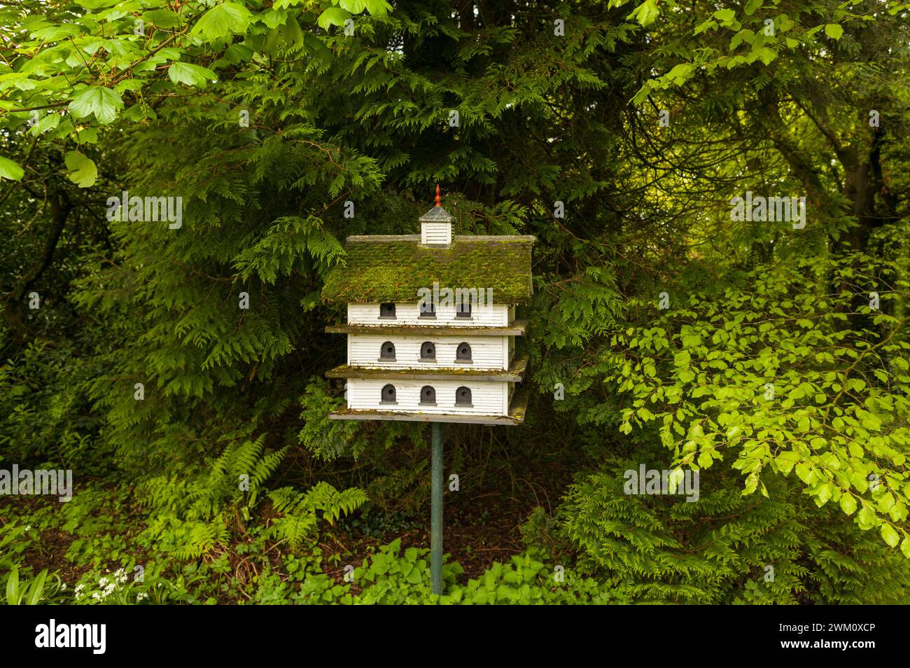 Ein mehrstöckiges Vogelhaus in Oakfield Demesne, Raphoe, County Donegal, Irland. Stockfoto
