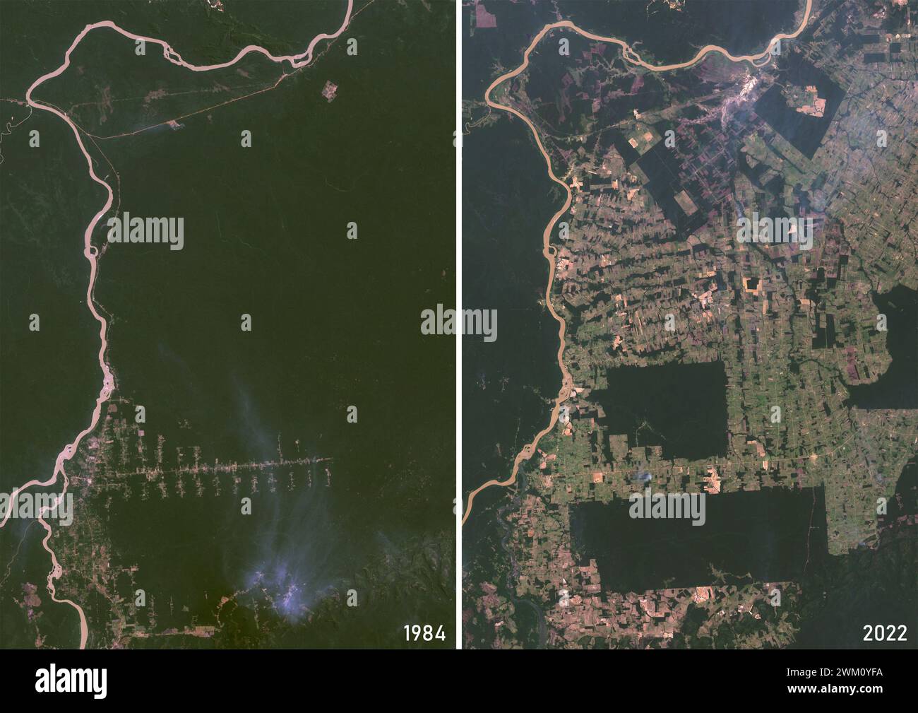 Farb-Satellitenbild der Entwaldung in Rondonia, Brasilien in den Jahren 1984 und 2022. Stockfoto