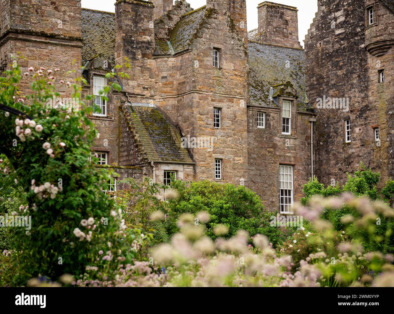 Die üppig grünen und blühenden Gärten und Produkte, die auf Kellie Castle in Fife, Schottland, angebaut werden Stockfoto