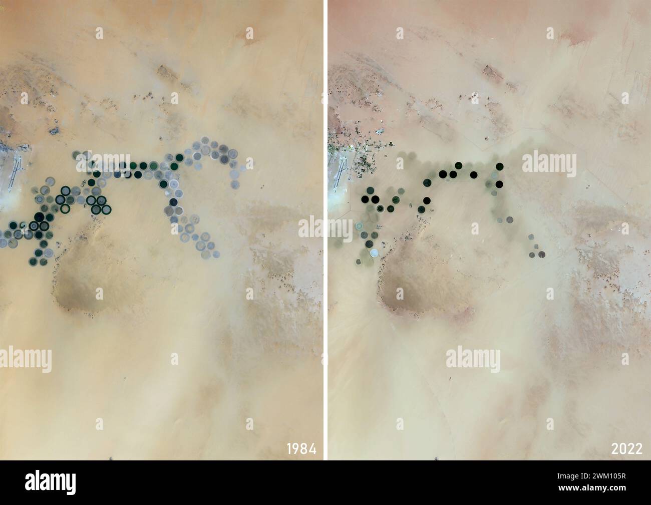 Farb-Satellitenbild der Oase Koufra in den Jahren 1984 und 2022. Stockfoto